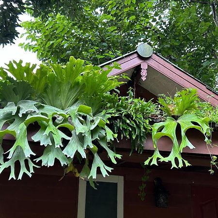At Home Chiang Dao, Pooch Lovers Ban Tham エクステリア 写真